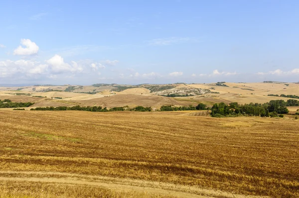 Пейзаж в Валь-д "Орча (Тоскана) ) — стоковое фото
