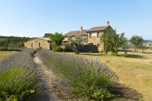 Val d'Orcia (Toskonya grupta)