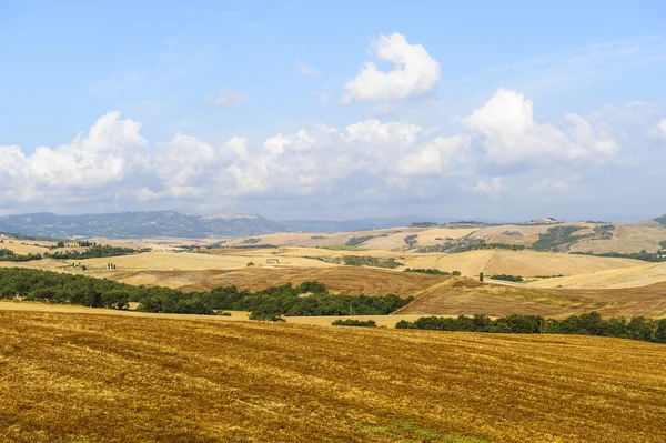 Paesaggio in Val d'Orcia (Toscana) ) — Foto Stock