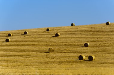 Val d'Orcia (Toskonya manzara)