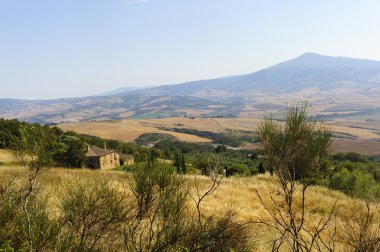 Val d'Orcia (Toskonya manzara)