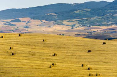 Val d'Orcia (Toskonya manzara)