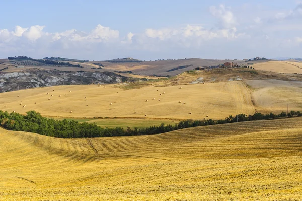 Landschap in Val d'Orcia (Toscane) — Stockfoto