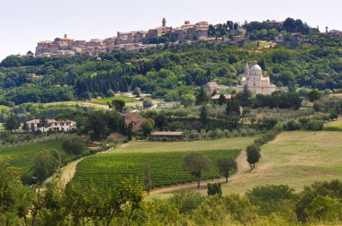 Montepulciano (Siena)