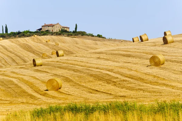 Фермі в Валь d'Orcia (Тоскана) — стокове фото
