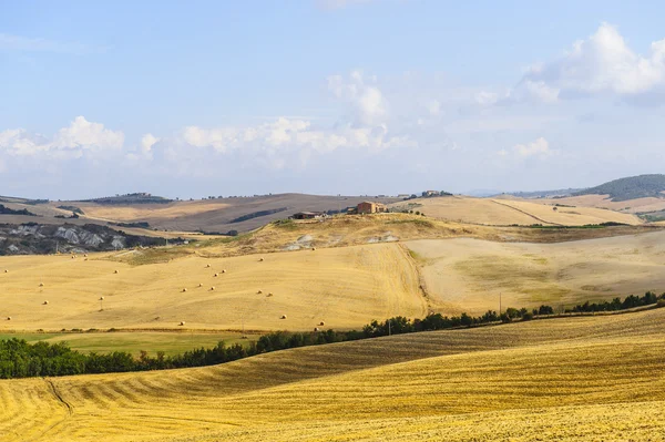 Landskap i Val d 'Orcia (Toscana) ) – stockfoto