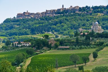 Montepulciano (Siena)