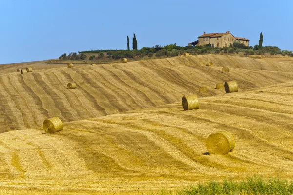 Farm in Val d 'Orcia (Toscana ) — Fotografie, imagine de stoc