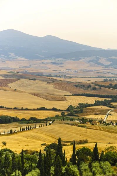 Landskap i Val d'Orcia (Toscana) — Stockfoto