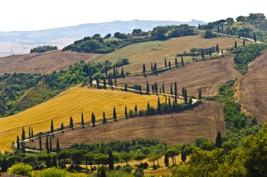 Famous winding road in Val d'Orcia clipart