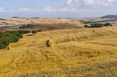 Val d'Orcia (Toskonya manzara)