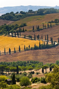 Famous winding road in Val d'Orcia clipart