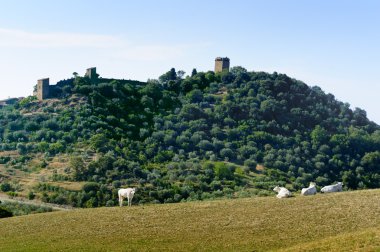 Val d'Orcia (Toskonya manzara)