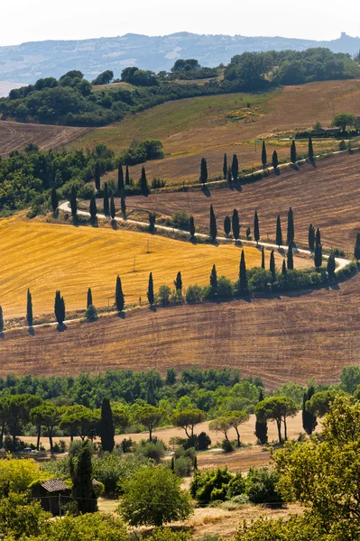 Famous winding road in Val d'Orcia — Stock Photo, Image