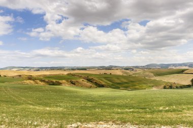 Landscape in Val d'Orcia (Tuscany) clipart