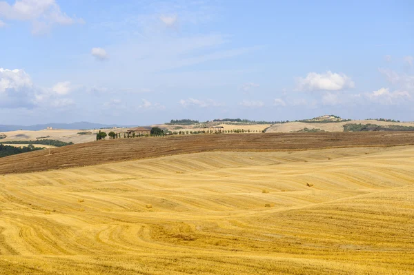 Gårdsbruk i Val d 'Orcia (Toscana ) – stockfoto