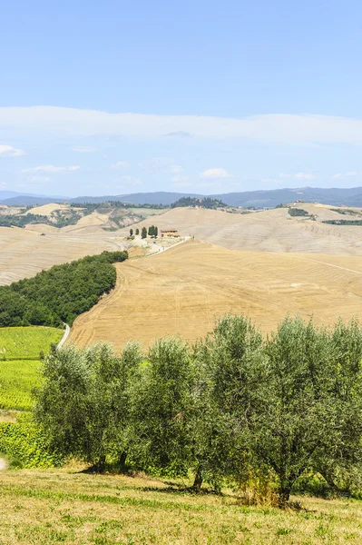 Gård i Val d'Orcia (Toscana) — Stockfoto