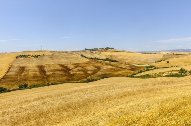 Val d'Orcia (Toskonya manzara)