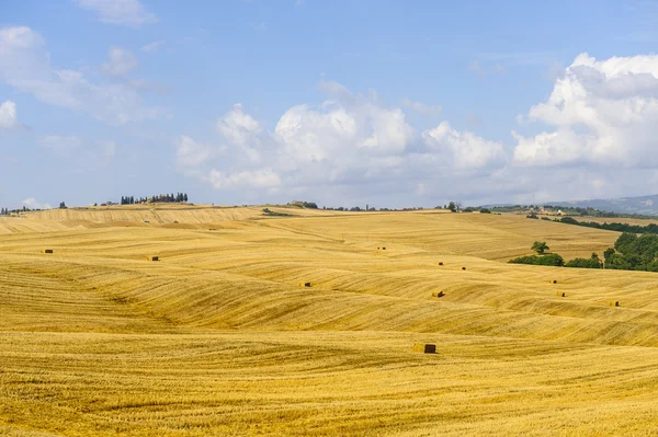 Ферма в Валь-д "Орча (Тоскана) ) — стоковое фото