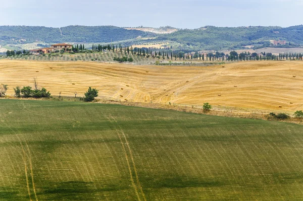 Paesaggio in Val d'Orcia (Toscana) ) — Foto Stock