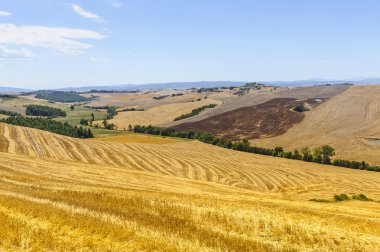 Val d'Orcia (Toskonya manzara)