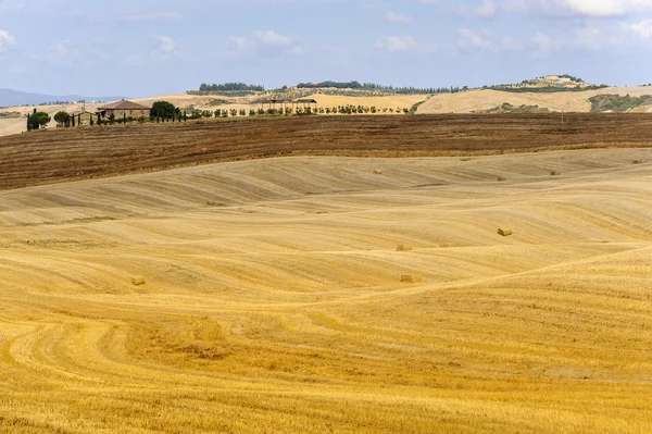 Ферма в Тоскане — стоковое фото