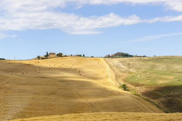 Landskap i Val d 'Orcia (Toscana) ) – stockfoto