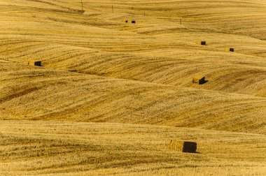 Val d'Orcia (Toskonya manzara)