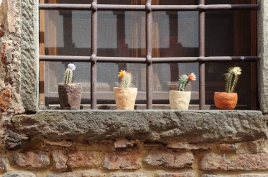 Certaldo (Florence), potted plants clipart