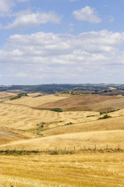 Farm in Val d'Orcia (Tuscany) clipart