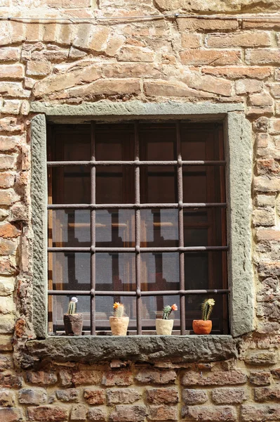 Certaldo (Florença), plantas em vaso — Fotografia de Stock