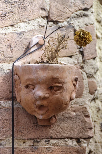 stock image Certaldo (Florence), potted flower