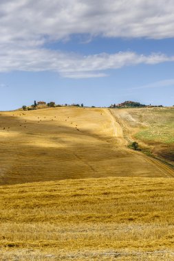 Val d'Orcia (Toskonya grupta)