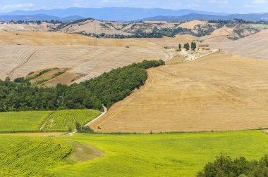 Val d'Orcia (Toskonya manzara)