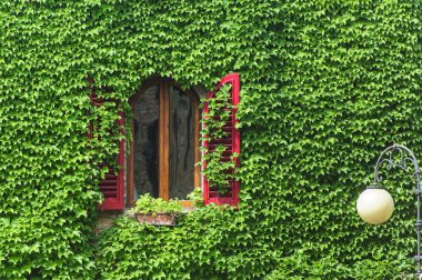 Certaldo (florence), pencere