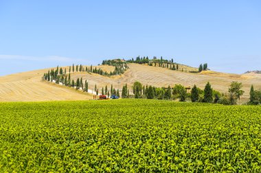 Val d'Orcia (Toskonya grupta)