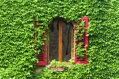 Certaldo (florence), pencere