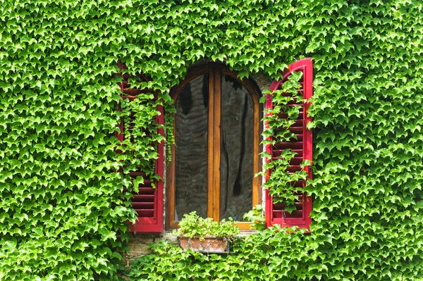 Certaldo (Firenze), finestra — Foto Stock
