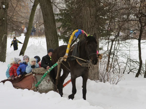 stock image Children ride on horse