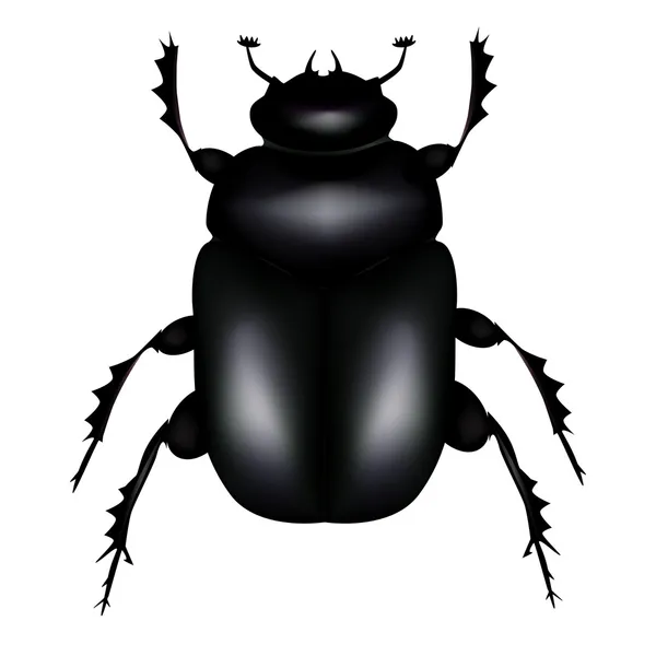 stock vector Scarab beetle