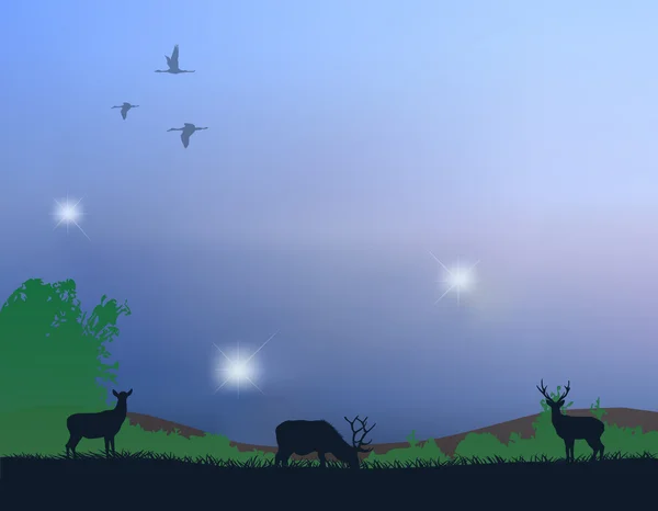 一群生活在野外的鹿 — 图库矢量图片