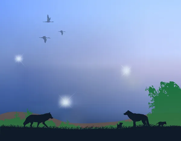オオカミ — ストックベクタ