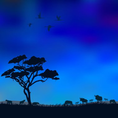 Savannah night animals clipart