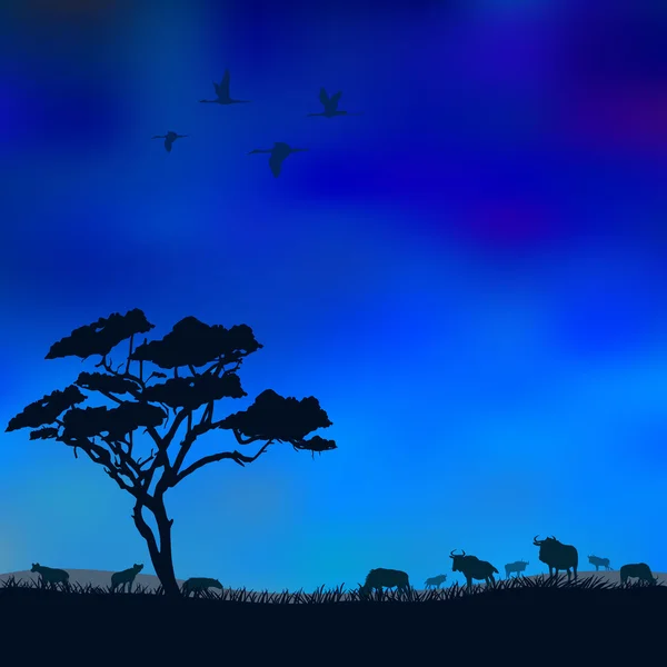Savane animaux de nuit — Image vectorielle