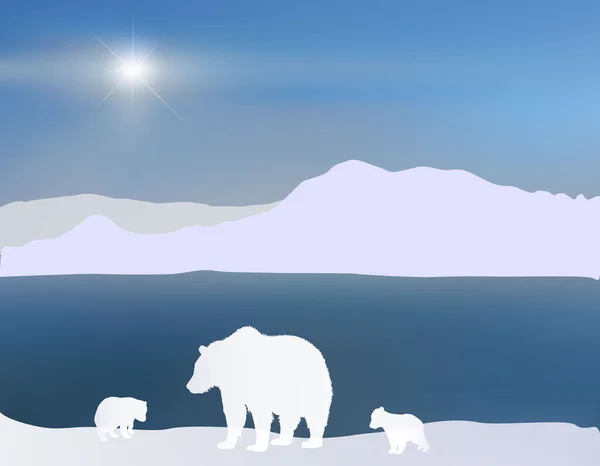 Kutup ayıları — Stok Vektör