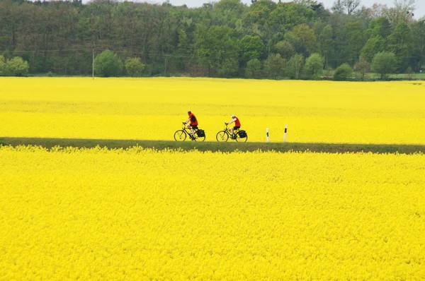 자전거타는 사람들 — 스톡 사진