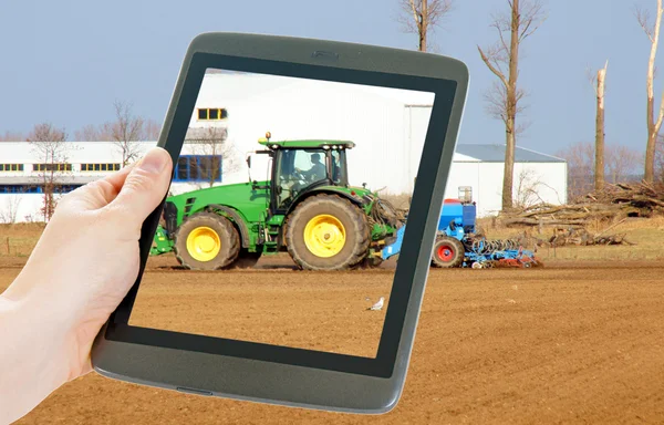 stock image Potatoes and agriculture