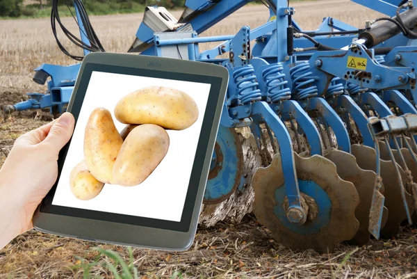 Patate e agricoltura — Foto Stock