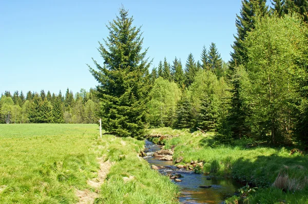 stock image Landscape