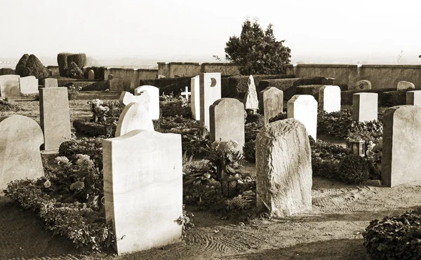 Graveyard — Stock Photo, Image